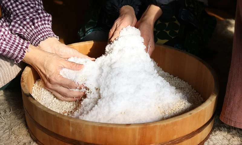What Is Koji and How the Japanese Fermentation Starter Transforms Food
