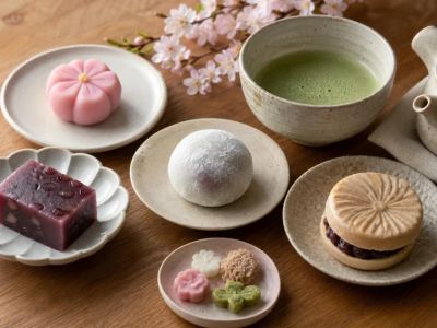 Wagashi Guide: Choosing Japanese Sweets With Tea