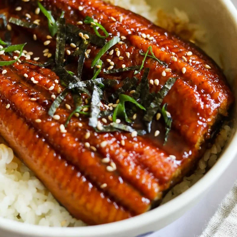 How to Make Unagi Don: Grilled Eel Rice Bowl Recipe for Japanese Eel Fans