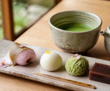 Wagashi Guide: Japanese Sweets by Season and Texture